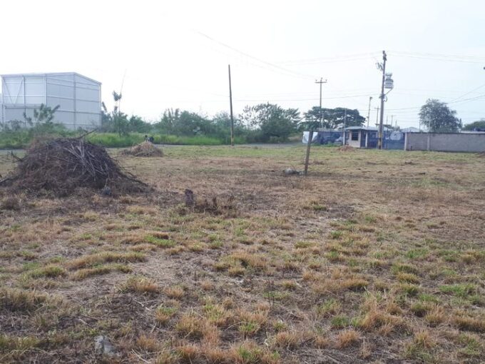 CORREGIMIENTO PALMASECA