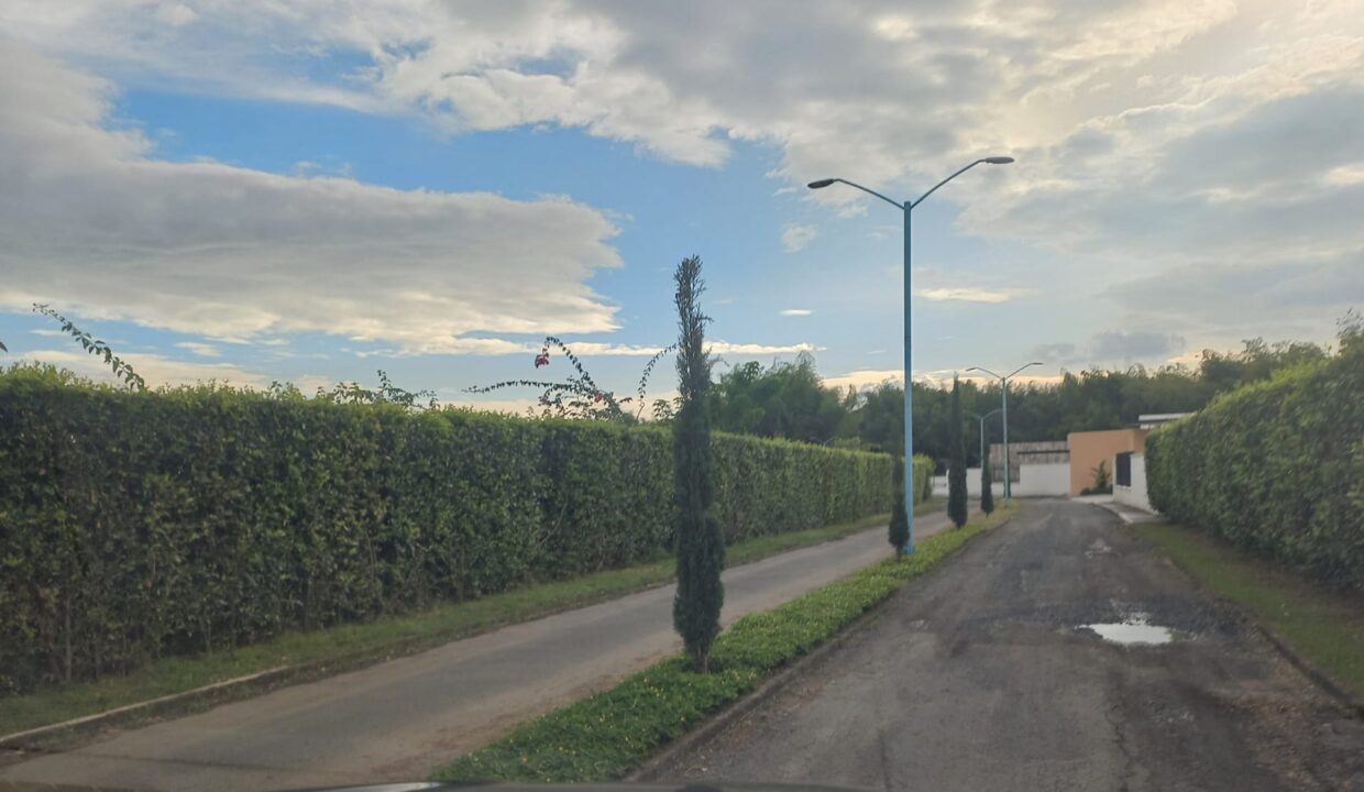 08