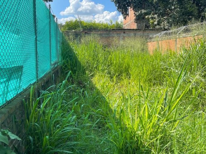 URBANIZACIÓN EL BOSQUE | LOTE MEDIANERO