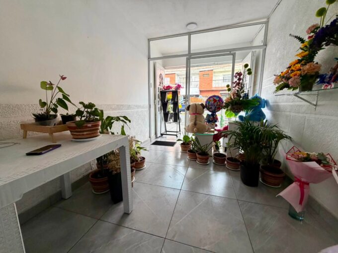LOS PINOS | CASA 3 NIVELES